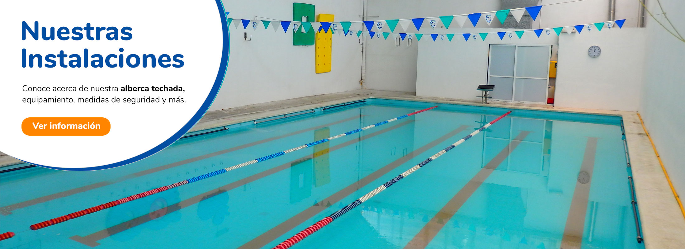 Educación Acuática en Irapuato, Gto. | ACUATICS